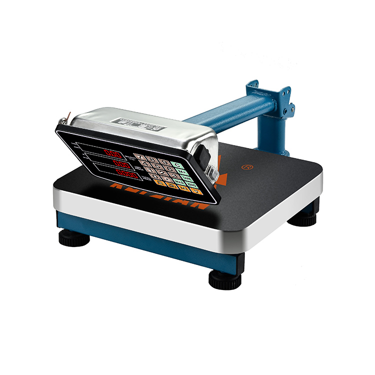 RJ-8008-3 Stainless Iron Weighing platform scale 60kg Folding Tube