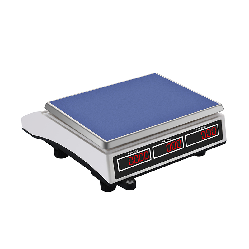 RJ-318 30Kg Double Plates Design Digital Electronic Weighing Scales 
