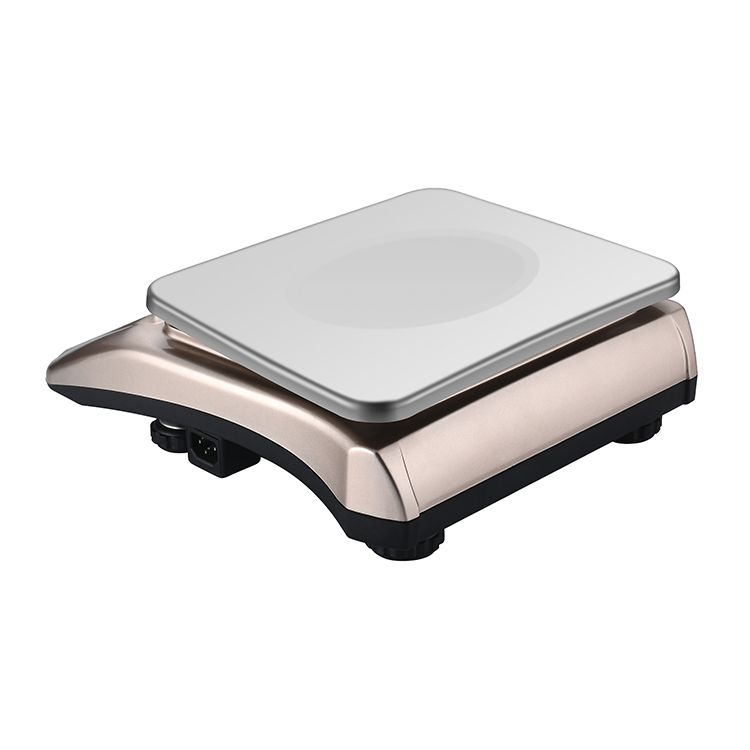 RJ-5027 30Kg Electronic Weighing Scale With Computer Interface Counting Function Computing